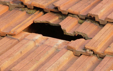 roof repair Belsford, Devon